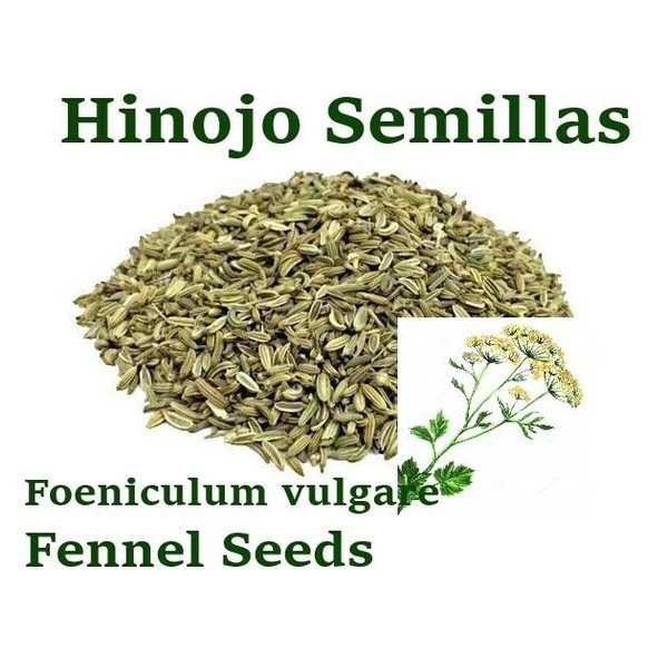 Hinojo semillas 6 oz hierbas Foeniculum vulgare Fennel seeds 6 oz herbal teas