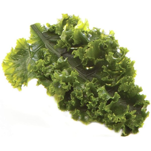 Artificial Kale Leaf Garnishing Green - 6" L