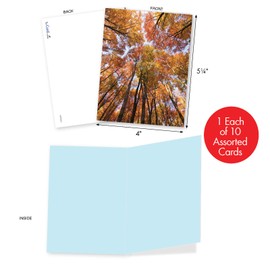 The Best Card Company - 10 Beautiful Note Cards Blank (4 x 5.12 Inch) - Fall and Autumn Season, Boxed Notecard Assortment - Over the Top M2006