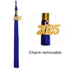 GraduationMall Matte Graduation Gown Cap Tassel Set 2021 for High