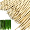 TIHOOD 200PCS/Set Bamboo Plant Stakes Kit, 50PCS Orchid Clips with