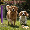 Untangler Pet Comb (5", Royal Purple)