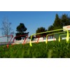 Netsportique Flexible Hurdle Set of 5 - Red or Yellow