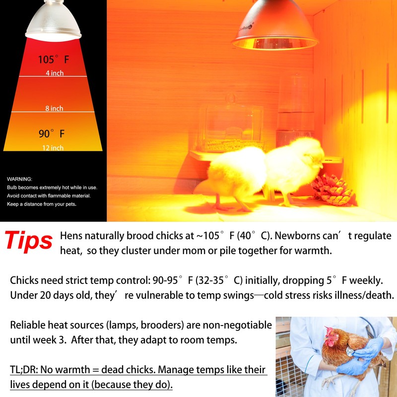 Heat Lamp for Chickens Coop Chick Brooder, Infrared Flood Light