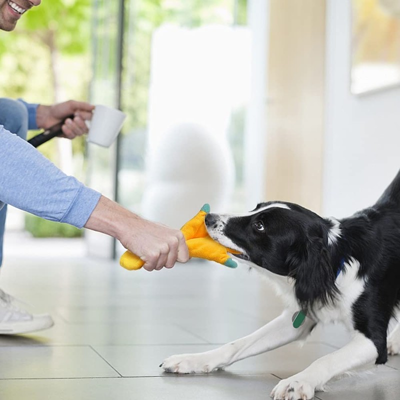 No Stuffing Dog Toys - 5 Pack Squeaky Dog Toys