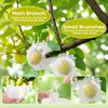 12 Pack Fruit Protection Cages, Reusable Squirrel Proof Fruit Covers,