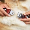 Buckle-Down Collar de Perro con Hebilla para cinturón de Seguridad