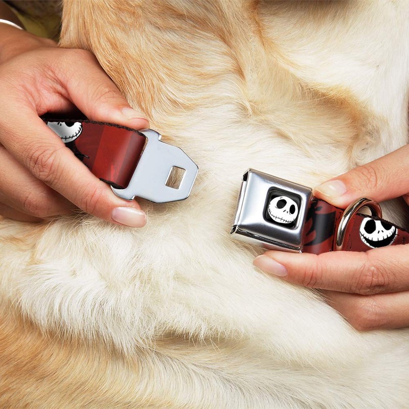 Buckle-Down Collar de Perro con Hebilla para cinturón de Seguridad