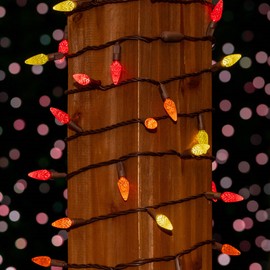 Novelty Lights 24FT C6 True Twinkle 70 LED Christmas String Lights, Fall Thanksgiving LED Lights Commercial Grade Outdoor String Lights, LED Fall Thanksgiving Lights (Yellow/Red/Orange)