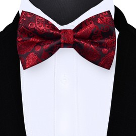 GUSLESON Red Bow Tie for Wedding Pre-Tied Adjustable Silk Paisley Bowties for Men (0496-35)