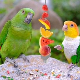 Cikonielf 2pcs Stainless Steel Fruit Skewer Fruit Vegetable Holder Fruit and Vegetable Holder Fruit Holder for Parrot Bird Rabbit Cages for Wild Birds