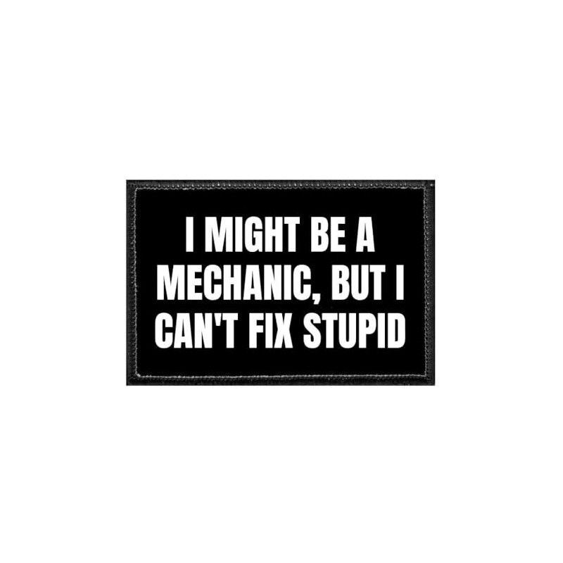 I Might Be A Mechanic, But I Can't Fix Stupid
