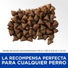 Hill's Science Diet, Treats de Entrenamiento para Alimento para Perro,