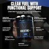 Vedge Nutrition Creatine Vegan Plant-Based Creatine Monohydrate Powder Energy, Performance