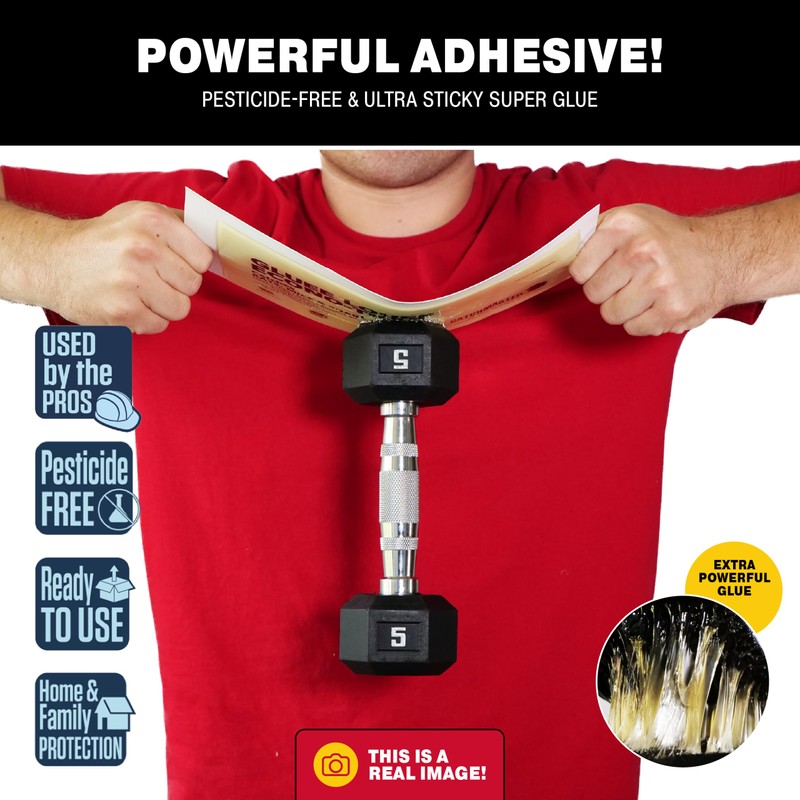 Catchmaster Gluee Louee Rat Extra Large Traps 30-PK, Heavy Duty