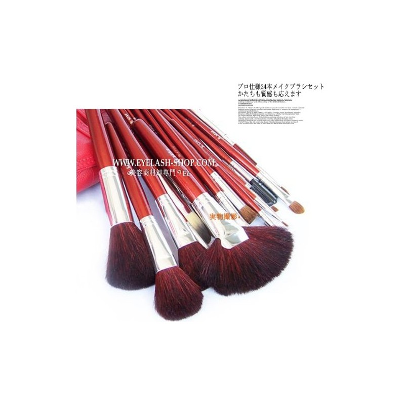 STZ-2402 Makeup Brush Set with Brush Storage Case, 24 Brush