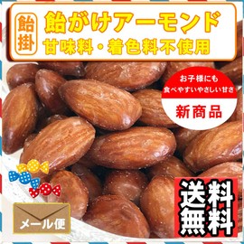 Nut Shop Candy Candy Almond, 17.6 oz (500 g), Caramelized Candy Coat