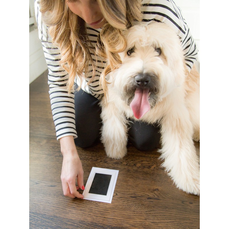 Pearhead Paw Print Clean Touch Ink Pad Kit for Dogs