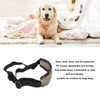 Dog Goggles Wind and UV Protection Pet Glasses Dustproof Sunglasses