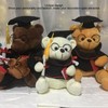 Little Bear Plush Doll with Gown Cap Diploma Bear Stuffed