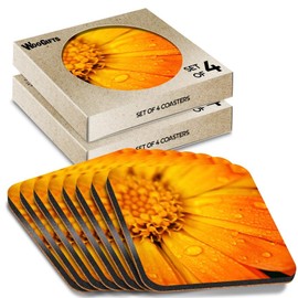 8 x Square Coasters - Orange Marigold Flower Cork Backed MDF Glossy Tea Coffee Accessory #51614