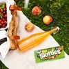 SKITTLES Sours Individually Wrapped Full Size Chewy Candy Packs, 24