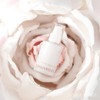 Anna Rosa Antiox Firming Serum 120ml / 안나로자 안티옥스 퍼밍
