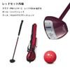 HATACHI HATACHI PH1413-62 Park Golf 3-piece Set, PW Hammer, 33.5