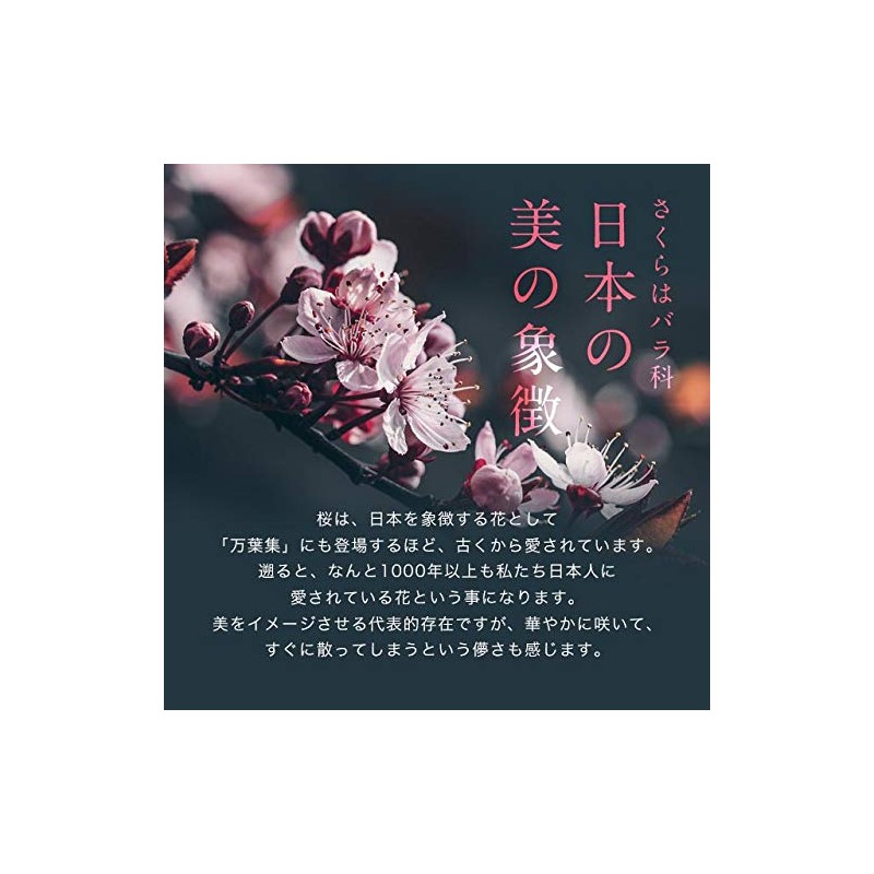Ogaland 111000320041001 Sakura Supplement (30 Tablets / Approximately 1 Month