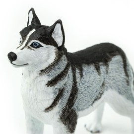Safari Ltd. Siberian Husky Figurine - Detailed 3.25" Plastic Model Figure - Fun Educational Play Toy for Boys, Girls & Kids Ages 3+