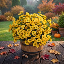 Daisy Artificial Flowers for Outdoors,Yellow Artificial Mums (6, yellow)