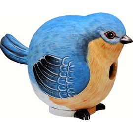 Songbird Essentials SE3880058 Bluebird GORD-O Birdhouse (Set of 1)