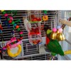 Acrylic Hexagram Multilayer Bird Biting Feeding Food Bowl Parrots Foraging