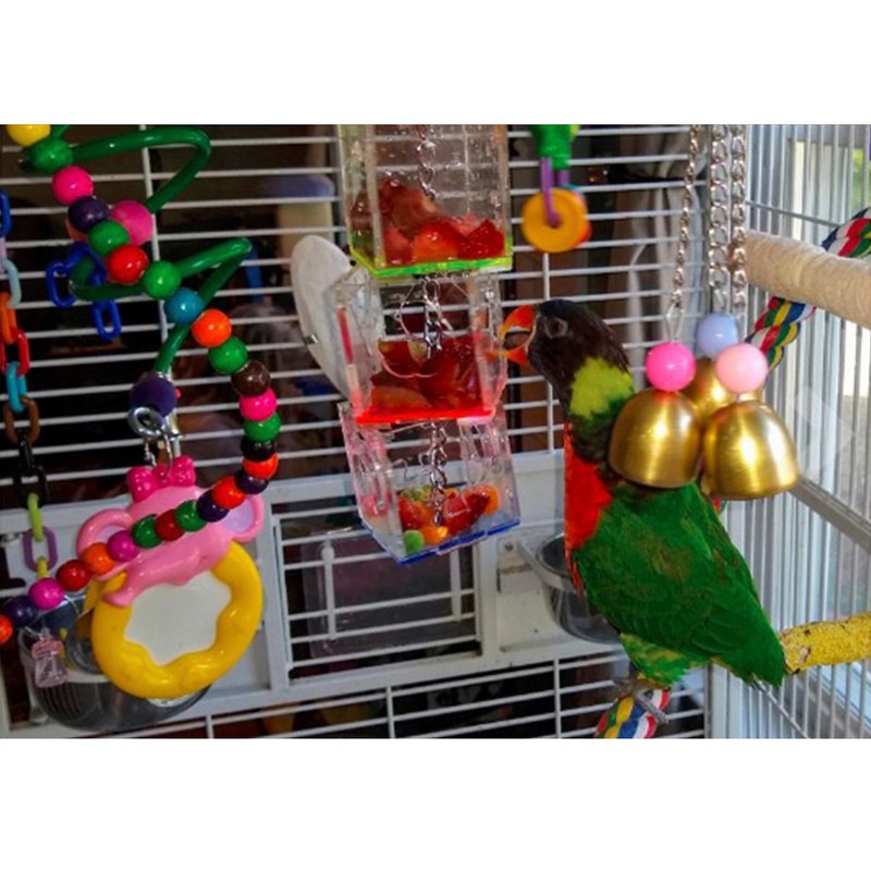 Acrylic Hexagram Multilayer Bird Biting Feeding Food Bowl Parrots Foraging
