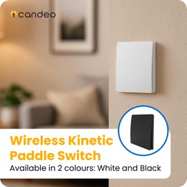Kinetic Smart Switch (2 Speed Paddle Style)