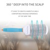 Clickinline Roller Comb Professional 5 Size Hair Dressing Brushes High