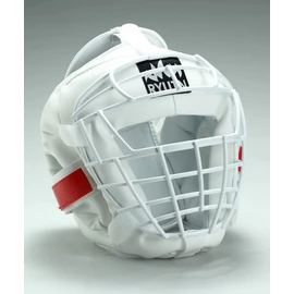 Head Guard New Wire Mesh DX White All Sizes (One Size Fits All (Senior))