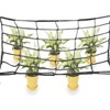HanyHere 1Pack 3x3FT Flexible Net Trellis Netting with Hooks for