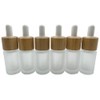 BEECO GIF2U Frosted Glass Dropper Bottles 15ml/0.5 oz 6 PACK,Essential
