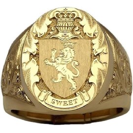 LRESJJIUJ 14K Gold Plated Crown Lion Shield Emblem Ring, Punk Animal Carved Pattern Ring, Rock Hip Hop Gold Sparkling Ring (7)