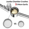 5-in-1 Stainless Steel Garlic Press Set with Jumbo Chamber &