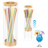 Acrylic Straw Dispenser with Bamboo Lid 25cm Clear Straw Holder