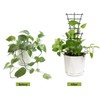 12 Pcs Garden DIY Mini Climbing Trellis Plastic Superimposed Potted