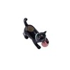 CGB Giftware | Playful Cat Mini Indoor Air Planter |