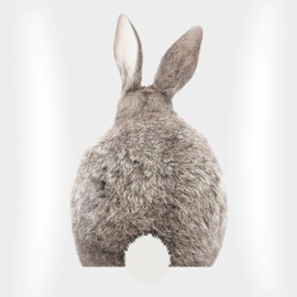 Cushion 40 x 40 cm Decorative Cushion – Easter Cushion – Easter Bunny Rabbit Motif – 40 x 40 cm – White – Easter Gifts Easter Bunny Easter Item Easter Motif, Easter Surprises Easter Small Items Easter