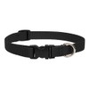 LupinePet Basics 3/4" Black 9-14" Adjustable Collar for Small Dogs