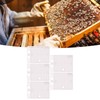 5Pcs Reusable Queen Bee Isolator Portable Queen Introducing Cage Beekeeping