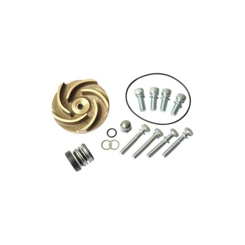 Pump Repair Kit,For 2ZWR4A