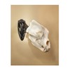 Skull Hooker Big Hooker Powder-Coated Steel Short Arm Trophy Mount
