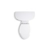 Kohler 25100-0 Kingston Toilet Tank, White